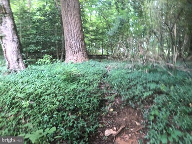 3733 Prosperity Ave, Fairfax, VA 22031 - photo 5