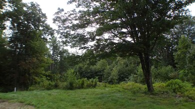 private backyard will have new lawn