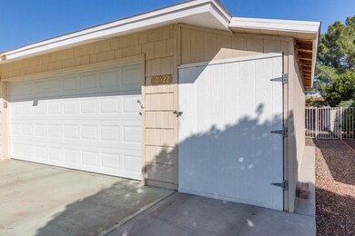 0004-Willow - 10522 (4)