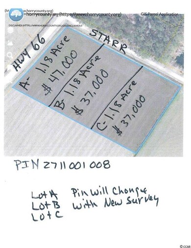 TBD Highway 66 unit Lot C, Conway, SC 29526 - photo 2