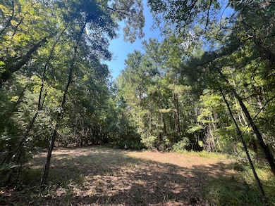 0 French Santee Rd unit 24022267, Jamestown, SC 29453 - photo 6