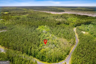 V/L 018 La Vento Ln, Waverly, GA 31565 - photo 2
