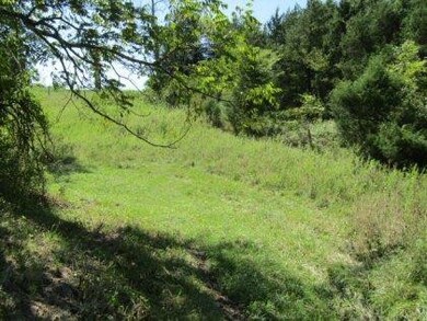 2853 Talmage Mayo Rd, Salvisa, KY 40372 - photo 4