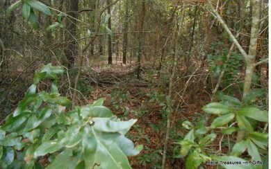 0 Open Ct unit 106074, Lake City, FL 32055 - photo 4