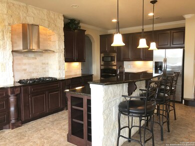 25902 Kidneywood, San Antonio, TX 78261 - photo 7