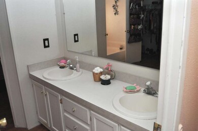 Double sinks in Master bathroom