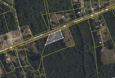 4614 Highway 905, Conway, SC 29526 - photo 5