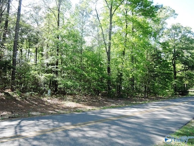 Lot 2 Arrowhead Dr, Jasper, AL 35504 - photo 2