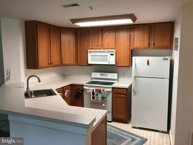 136 Wishing Star Ct unit 1B, Hagerstown, MD 21740 - photo 6