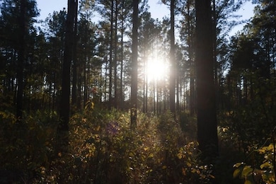 Scarboro Landing, Millen, GA 30442 - photo 4