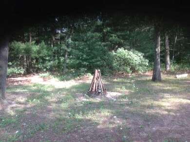 photo 5 (2)