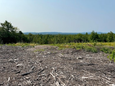 1078 General Leroy Manor Rd, Dannemora, NY 12929 - photo 4