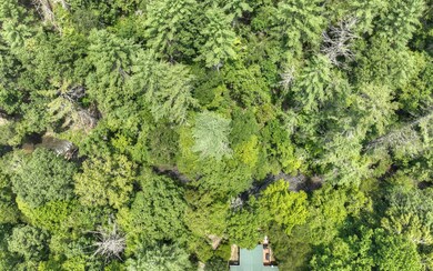 3AC Walkabout Creek Rd, Morganton, GA 30560 - photo 6