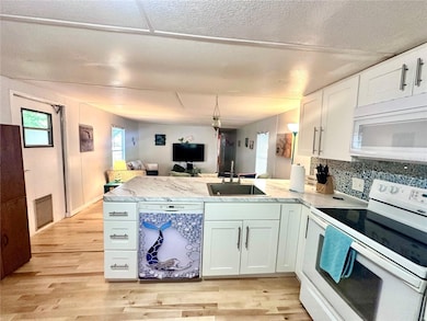 6427 W Richard Dr, Weeki Wachee, FL 34607 - photo 7