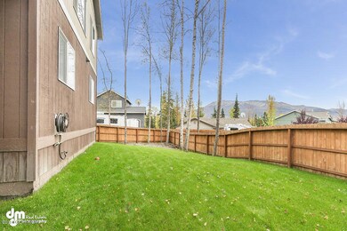 Back Yard_IMG_2619-SMALL