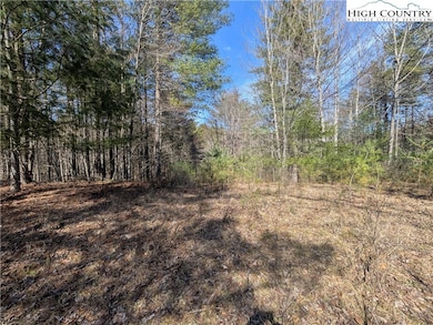 Cleared building area with potential views