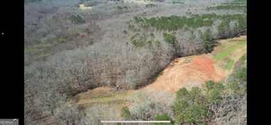 4023 Jersey Covington Rd, Covington, GA 30014 - photo 4