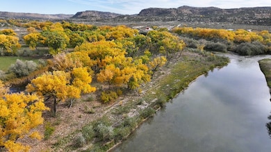 1459 New Mexico 173, Navajo Dam, NM 87419 - photo 6