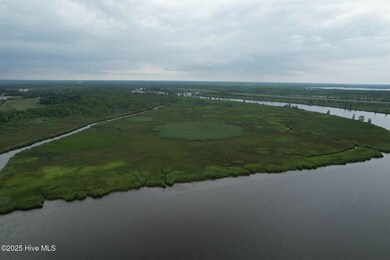 104  Acres Unassigned Address, Navassa, NC 28451 - photo 7