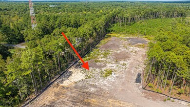 433 Sonny Way, Ladson, SC 29456 - photo 6