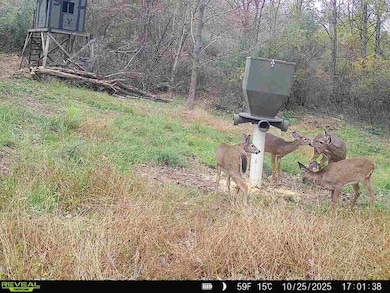 14405 Ohio 83, Coshocton, OH 43812 - photo 6