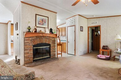 160 Mole Hill Ln, New Market, VA 22844 - photo 4