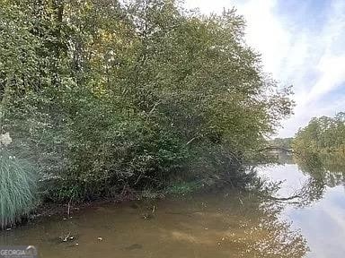 171 Bluegill Rd, Eatonton, GA 31024 - photo 3