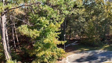 9 Legacy Ct, Camden, SC 29020 - photo 3