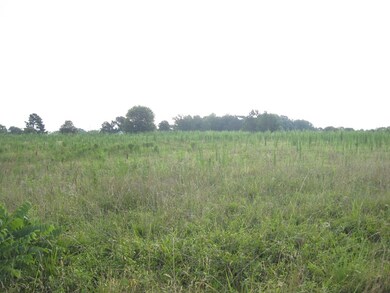 Open Field - Pasture, Hay, or Crop?