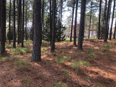 up from course, corner left property line