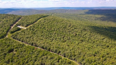 0 Aslin Prairie Rd unit 22990167, Talihina, OK 74571 - photo 3