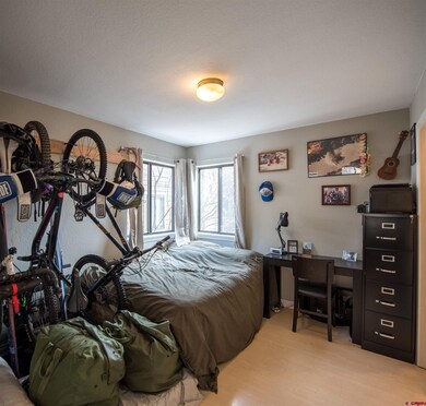 615 W 33rd St unit 3, Durango, CO 81301 - photo 7