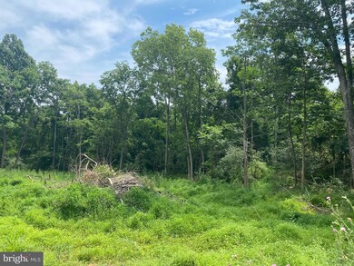 0 Goldmiller unit WVBE2011534, Bunker Hill, WV 25413 - photo 2