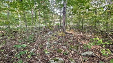 2 Thompson Pond Rd, Spencer, MA 01562 - photo 5