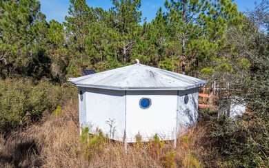 1032 SW Van Buren Rd, Mayo, FL 32066 - photo 6