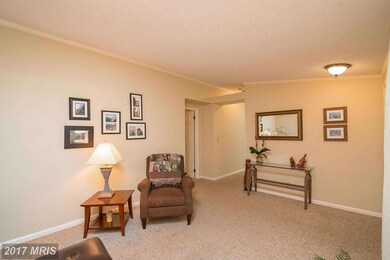 8964 Twelve Sons Ct, Jessup, MD 20794 - photo 5
