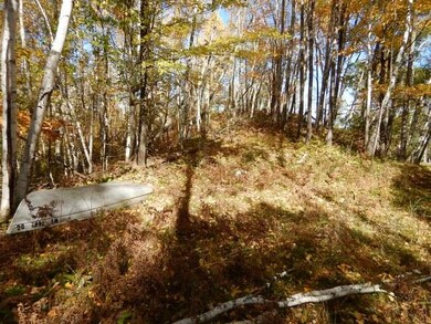 ON Foreman Rd unit 2.68 Acres, Deerbrook, WI 54424 - photo 7