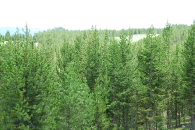 23 Eagle View Trail, Big Sky, MT 59716 - photo 6