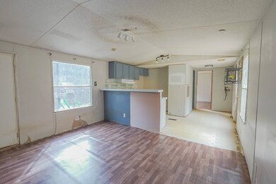 591 Cane Creek Mountain Rd, Tellico Plains, TN 37385 - photo 4