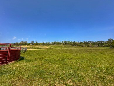 0 Hwy 107 unit 11552194, Wayside, AL 35594 - photo 5