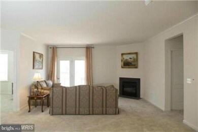 24636 Woolly Mammoth Terrace unit 207, Aldie, VA 20105 - photo 7