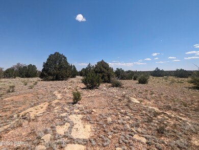 PXL_20230702_181523893