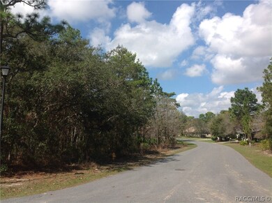 10 Primula Ct E, Homosassa, FL 34446 - photo 2