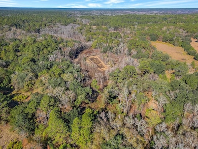 XX Gardners Farm Rd, Tallahassee, FL 32312 - photo 3
