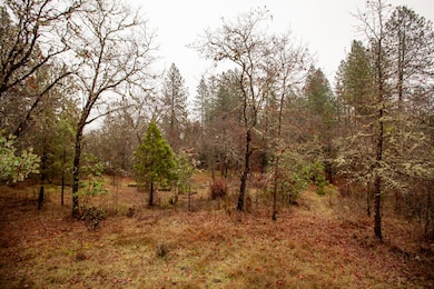 3754 New Hope Rd, Grants Pass, OR 97527 - photo 7