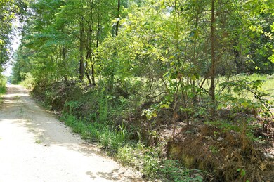 DSC02629 (2)