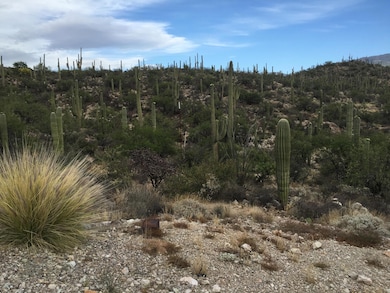 3060 N Placita de Nazca unit 4, Tucson, AZ 85749 - photo 6
