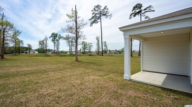 380 Spruce Pine Way unit Lot 209 - Kerry B, Conway, SC 29526 - photo 4