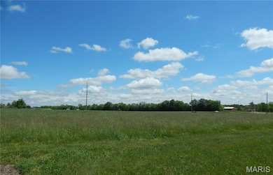 Lot 8 Plaza Pkwy, Waterloo, IL 62298 - photo 3