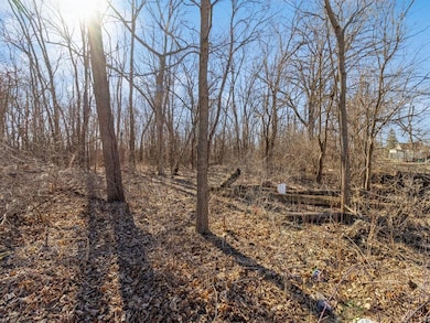 415 Jefferson St, Carlisle, IA 50047 - photo 7